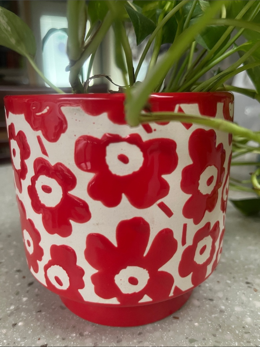 NEW planter